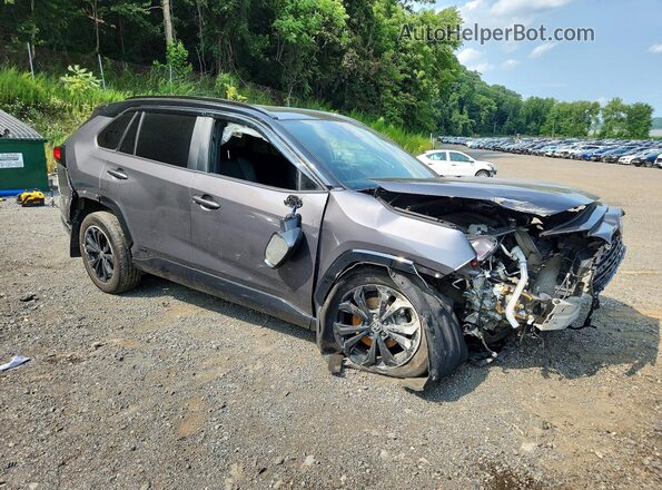 2024 TOYOTA RAV4 XSE