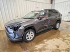 2020 Toyota Rav4 Le Black vin: 2T3F1RFV5LW132315
