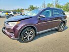 2018 Toyota Rav4 Xle Purple vin: 2T3RFREV8JW719332