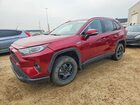 2020 Toyota Rav4 Xle Темно-бордовый vin: 2T3RWRFV5LW101225
