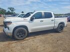 2024 Chevrolet Silverado K1500 Ppv White vin: 3GCUD4ED3RG247823