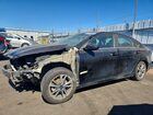 2024 Kia Forte Lxs Charcoal vin: 3KPF24AD6RE798358