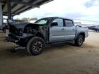 2021 Toyota Tacoma Trd Off-road Gray vin: 3TMCZ5AN3MM408179