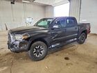 2020 Toyota Tacoma Trd Off-road Gray vin: 3TMCZ5AN4LM362893