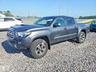 2019 Toyota Tacoma Trd Sport Gray vin: 3TMCZ5AN5KM274790