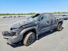 2025 Toyota Tacoma Trd Off-road Gray vin: 3TMLB5JNXSM192722