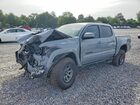 2021 Toyota Tacoma Trd Sport Gray vin: 3TYCZ5AN8MT026315