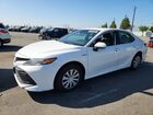 2020 Toyota Camry Le White vin: 4T1C31AK7LU521154