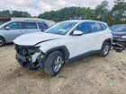 2023 Hyundai Tucson Se White vin: 5NMJACAE5PH255671