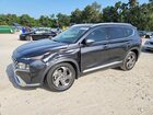 2023 Hyundai Santa Fe Sel Premium Black vin: 5NMS34AJ7PH561790