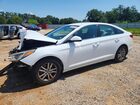 2017 Hyundai Sonata Se White vin: 5NPE24AF2HH555895