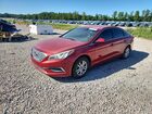 2017 Hyundai Sonata Se Red vin: 5NPE24AF8HH563239
