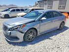 2016 Hyundai Sonata Sport 2.0t Gray vin: 5NPE34AB3GH407912