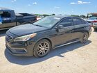 2017 Hyundai Sonata Sport 2.0t Black vin: 5NPE34AB4HH575107