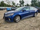2019 Hyundai Sonata Sport Blue vin: 5NPE34AF5KH735084