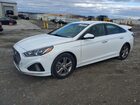 2019 Hyundai Sonata Limited White vin: 5NPE34AFXKH768212