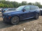 2024 Bmw X5 Xdrive40i Blue vin: 5UX23EU03R9U22178