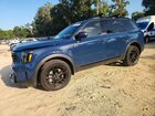 2025 Kia Telluride Ex X-line Blue vin: 5XYP3DGC8SG726294