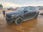 2021 Kia Telluride Ex Black vin: 5XYP3DHC5MG110232