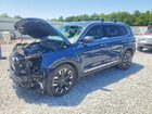 2025 Kia Telluride Sx Blue vin: 5XYP5DGC3SG689181