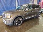 2025 Kia Telluride S Green vin: 5XYP6DGC2SG689945