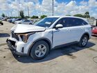 2024 Kia Sorento Lx White vin: 5XYRG4JC0RG305153