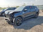 2021 Kia Sorento Lx Gray vin: 5XYRGDLCXMG017730