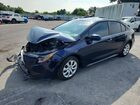 2023 Toyota Corolla Le Blue vin: 5YFB4MDE9PP062149