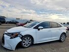 2020 Toyota Corolla Le White vin: 5YFEPRAE7LP016559