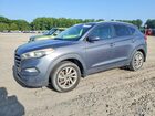 2016 Hyundai Tucson Eco Gray vin: KM8J33A23GU101822