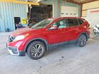 2022 Honda Cr-v Exl Бордовый vin: 7FARW2H80NE002680