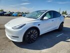 2024 Tesla Model Y White vin: 7SAYGDEF6RF113813
