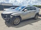 2020 Lexus Nx 300 Gray vin: JTJDARBZ0L5019120
