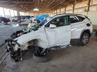 2024 Hyundai Tucson Blue White vin: KM8JBCD11RU228464