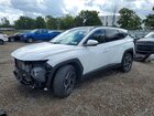 2022 Hyundai Tucson Limited White vin: KM8JECA10NU029783