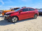 2019 Hyundai Ioniq Blue Red vin: KMHC65LC5KU170618