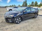 2019 Hyundai Ioniq Sel Black vin: KMHC75LC5KU117785