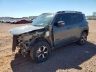 2021 Jeep Renegade Trailhawk Серый vin: ZACNJDC1XMPN24154